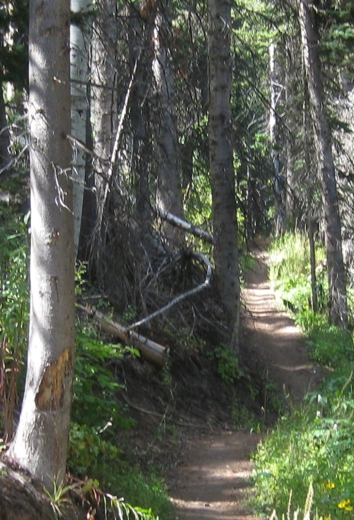 Armstrong Trail