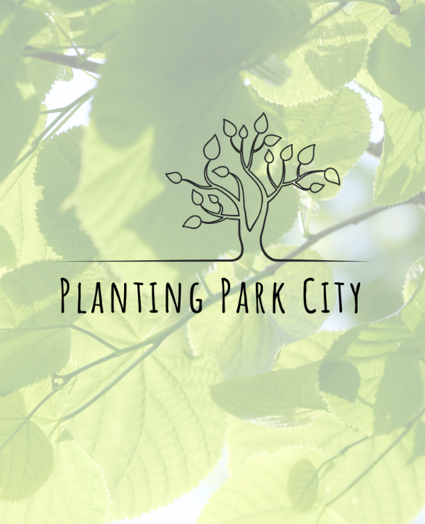 Free Trees for 84060 Residents Through Planting Park City