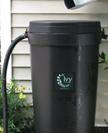 Rain Barrel