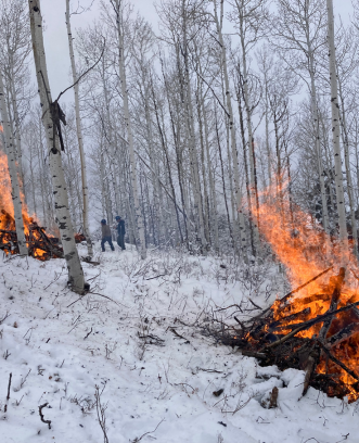 Pile Burning_News